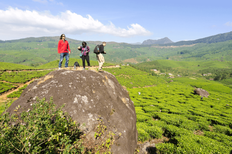Mist Over Munnar