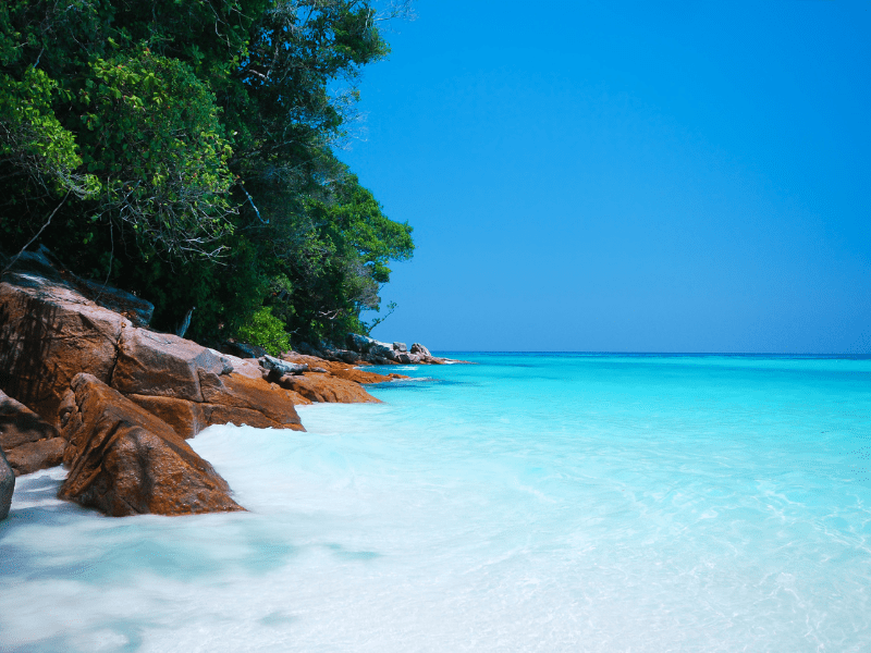 Real Andaman Experience