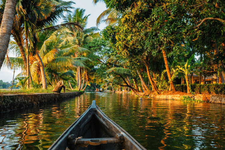 Sacred Roots Kerala