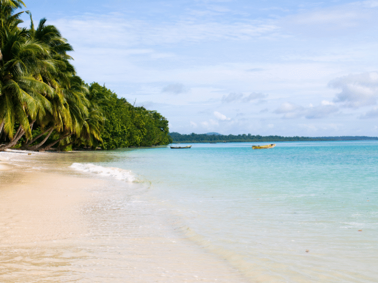 Havelock Island 02