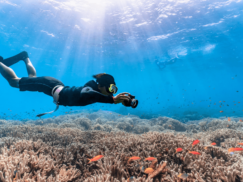 Pocket-Friendly Andaman