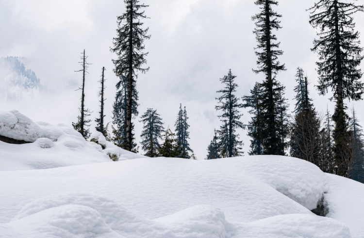 Manali-02