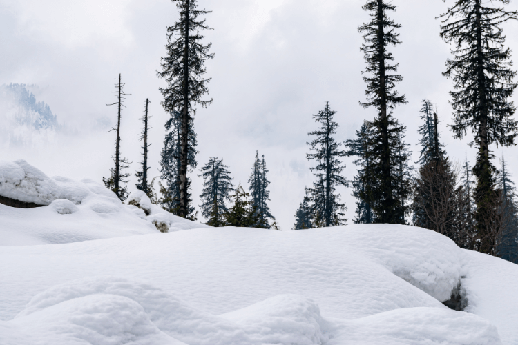 Manali-02