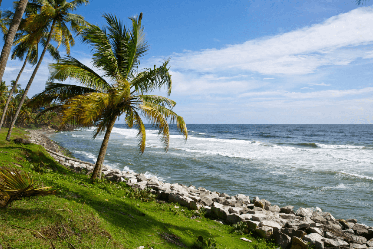 Nature Unscripted Kerala