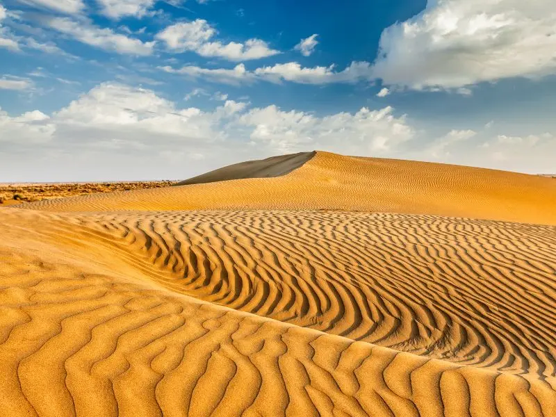 Rustic Rajasthan Road Trip