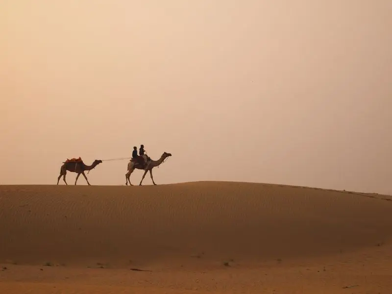 Rajasthan The Land of Kings
