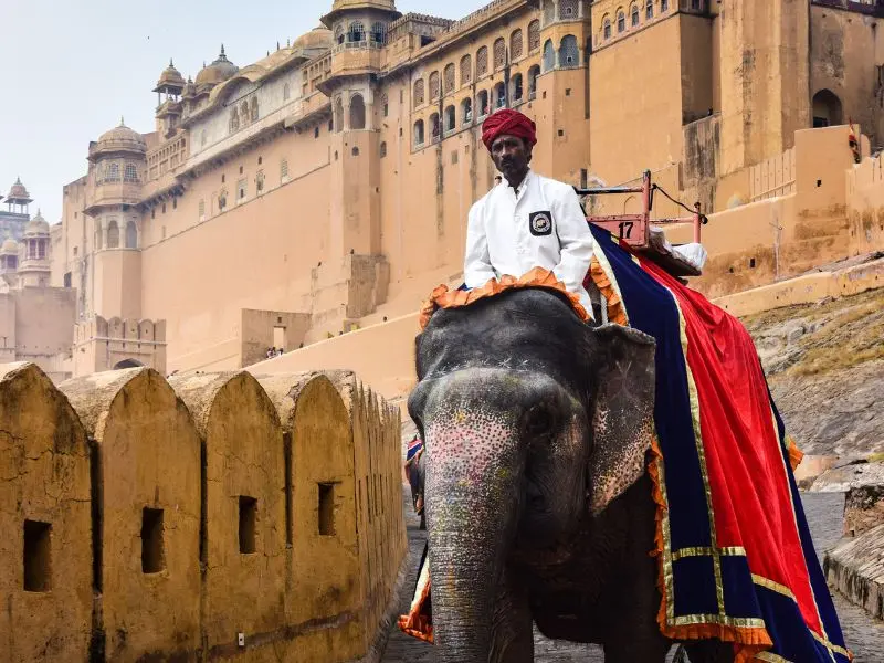 Rajasthan A Royal Escape