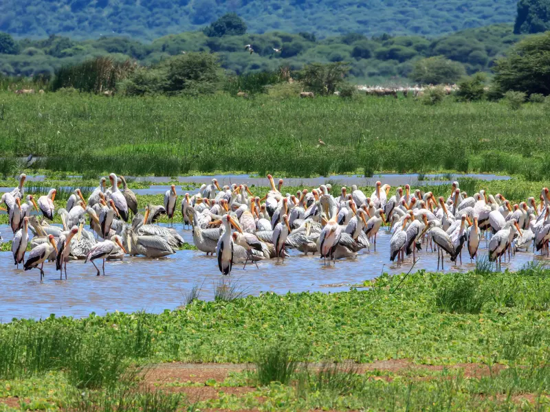 Mystic Karnataka Journey