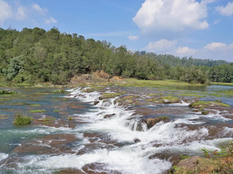 Peaks & Plantations of Karnataka